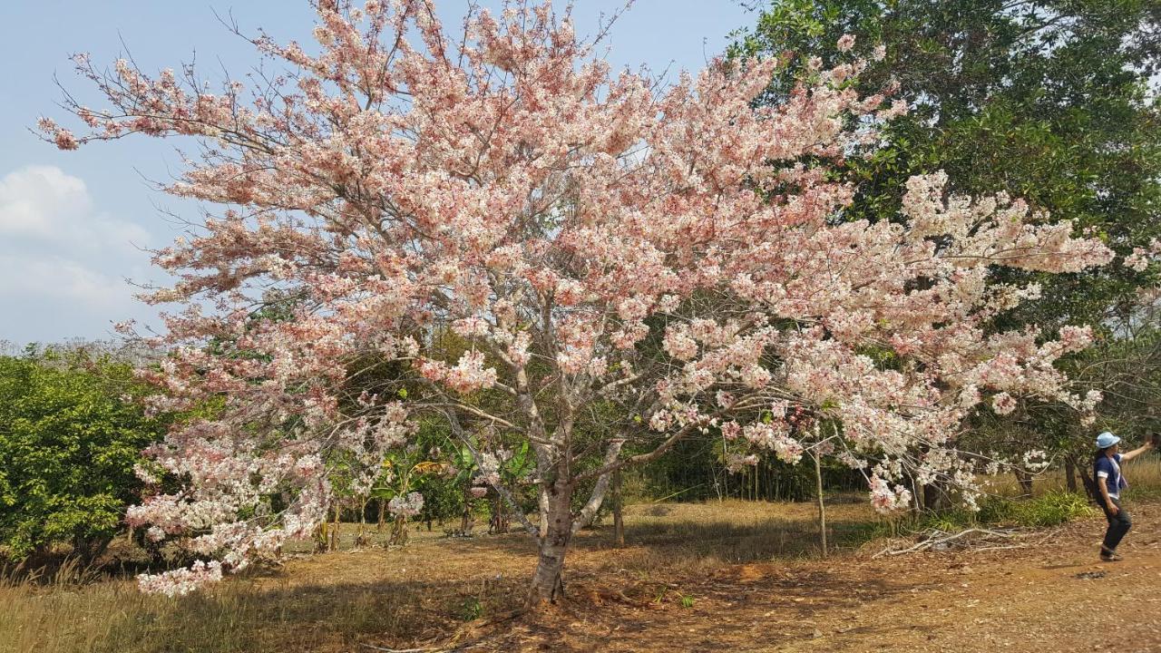 Tarahill Khao Kho Hotel Exterior photo